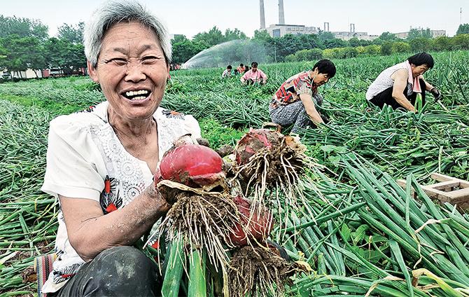 【疫情山东援助物资，疫情期间山东向湖北捐赠的物资？】-第2张图片-创耀新闻网