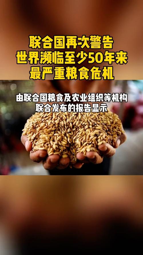 【疫情下世界粮食，疫情之下粮食危机引发全球关注即评？】-第1张图片-创耀新闻网